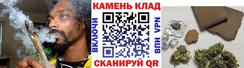 ГАШ Premium  Сатка 