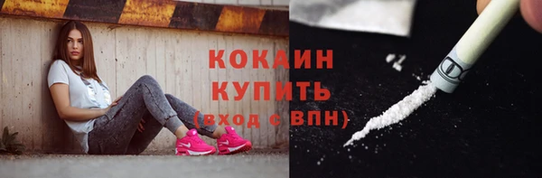 шишки Покров
