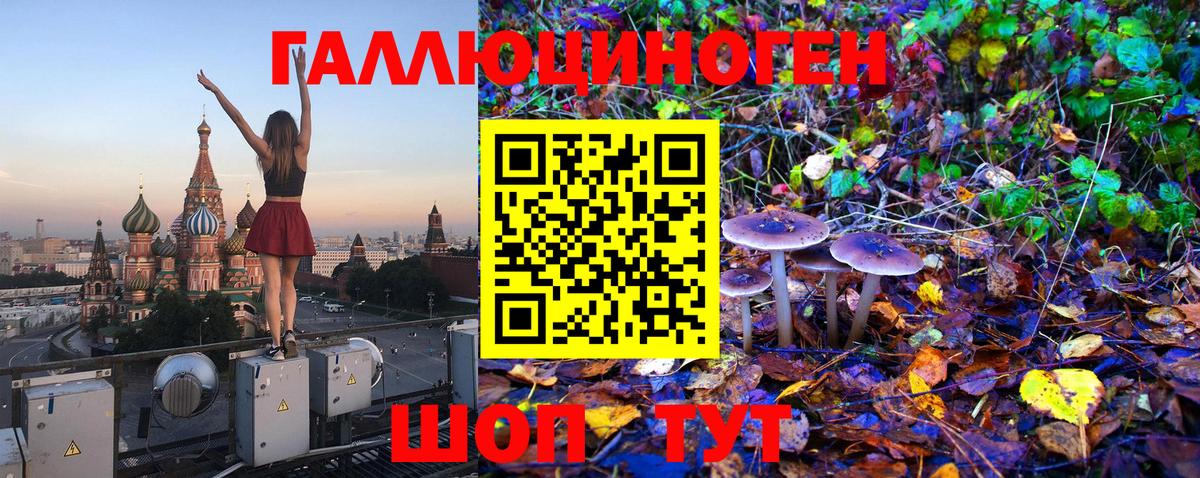 где найти   Псилоцибиновые грибы Psilocybe  Вход с VPN  Псилоцибиновые грибы мухоморы  Сатка 